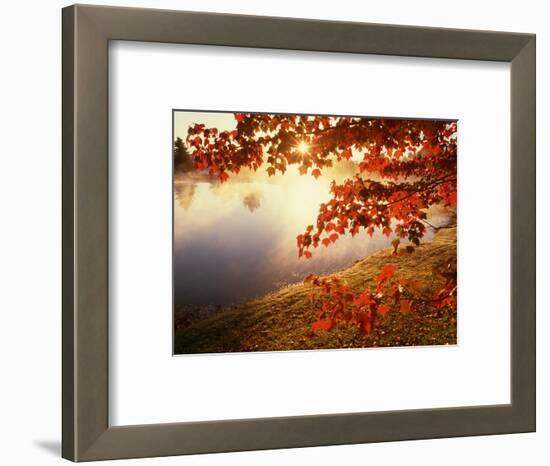 Sunrise Through Autumn Leaves-Joseph Sohm-Framed Photographic Print