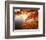 Sunrise Through Autumn Leaves-Joseph Sohm-Framed Photographic Print