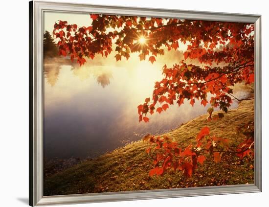 Sunrise Through Autumn Leaves-Joseph Sohm-Framed Photographic Print