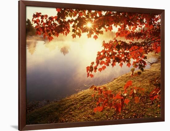 Sunrise Through Autumn Leaves-Joseph Sohm-Framed Photographic Print