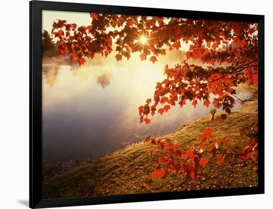 Sunrise Through Autumn Leaves-Joseph Sohm-Framed Photographic Print