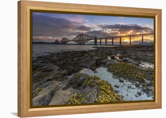 Sunrise through Forth Rail Bridge, UNESCO World Heritage Site, Edinburgh, Scotland-Andrew Sproule-Framed Premier Image Canvas