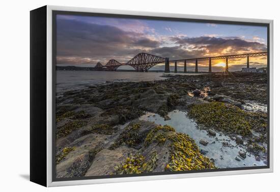 Sunrise through Forth Rail Bridge, UNESCO World Heritage Site, Edinburgh, Scotland-Andrew Sproule-Framed Premier Image Canvas