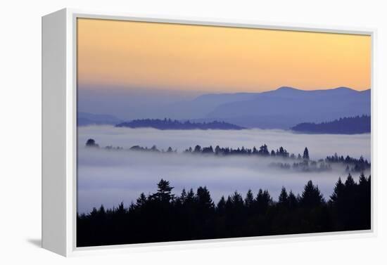 Sunrise through Morning Fog Adds Beauty to Happy Valley, Oregon, Pacific Northwest-Craig Tuttle-Framed Premier Image Canvas