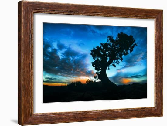 Sunrise Tree at Dead Horse Point, Southern Utah-Vincent James-Framed Photographic Print