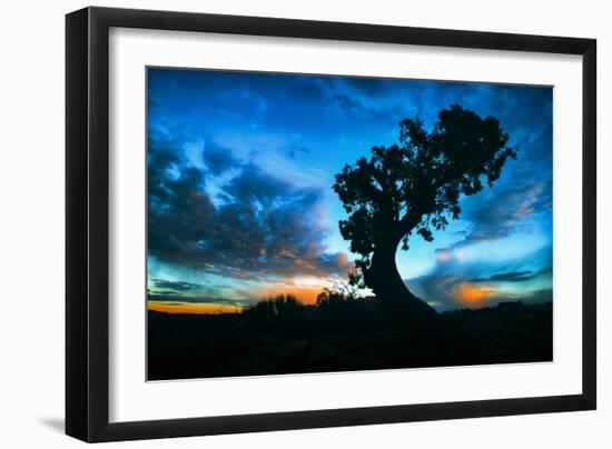 Sunrise Tree at Dead Horse Point, Southern Utah-Vincent James-Framed Photographic Print