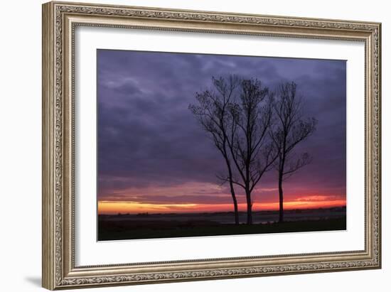 Sunrise Trees at Ogunquit, Maine Coast-Vincent James-Framed Photographic Print