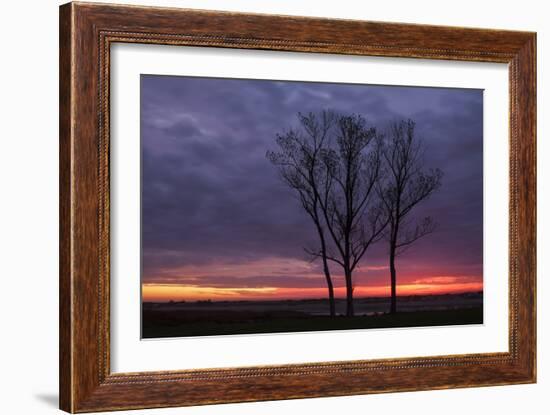 Sunrise Trees at Ogunquit, Maine Coast-Vincent James-Framed Photographic Print