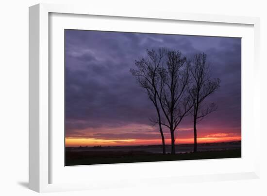 Sunrise Trees at Ogunquit, Maine Coast-Vincent James-Framed Photographic Print