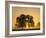 Sunrise, Usk Valley, South Wales, UK-Peter Adams-Framed Photographic Print