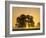 Sunrise, Usk Valley, South Wales, UK-Peter Adams-Framed Photographic Print