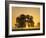 Sunrise, Usk Valley, South Wales, UK-Peter Adams-Framed Photographic Print