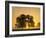 Sunrise, Usk Valley, South Wales, UK-Peter Adams-Framed Photographic Print