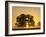 Sunrise, Usk Valley, South Wales, UK-Peter Adams-Framed Photographic Print