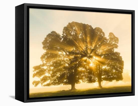 Sunrise, Usk Valley, South Wales, UK-Peter Adams-Framed Premier Image Canvas