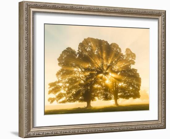 Sunrise, Usk Valley, South Wales, UK-Peter Adams-Framed Photographic Print