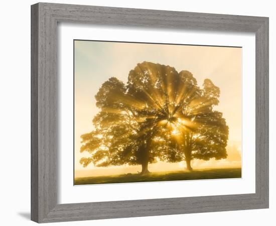 Sunrise, Usk Valley, South Wales, UK-Peter Adams-Framed Photographic Print