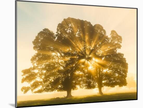 Sunrise, Usk Valley, South Wales, UK-Peter Adams-Mounted Photographic Print
