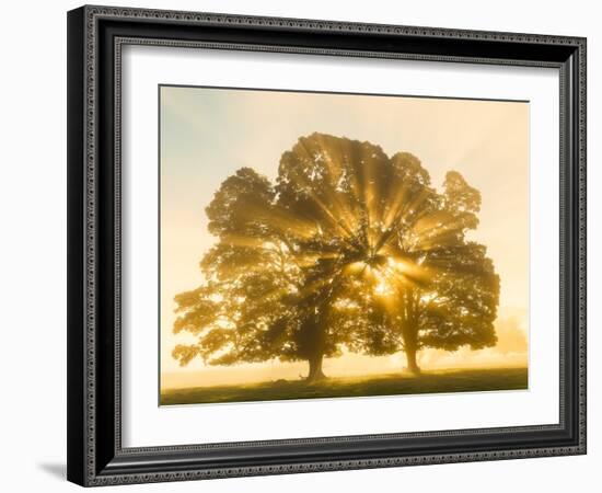 Sunrise, Usk Valley, South Wales, UK-Peter Adams-Framed Photographic Print