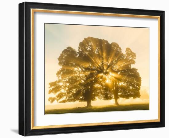 Sunrise, Usk Valley, South Wales, UK-Peter Adams-Framed Photographic Print