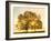 Sunrise, Usk Valley, South Wales, UK-Peter Adams-Framed Photographic Print