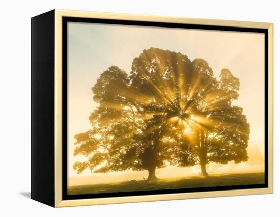 Sunrise, Usk Valley, South Wales, UK-Peter Adams-Framed Premier Image Canvas