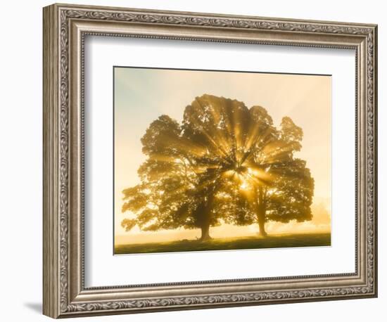 Sunrise, Usk Valley, South Wales, UK-Peter Adams-Framed Photographic Print