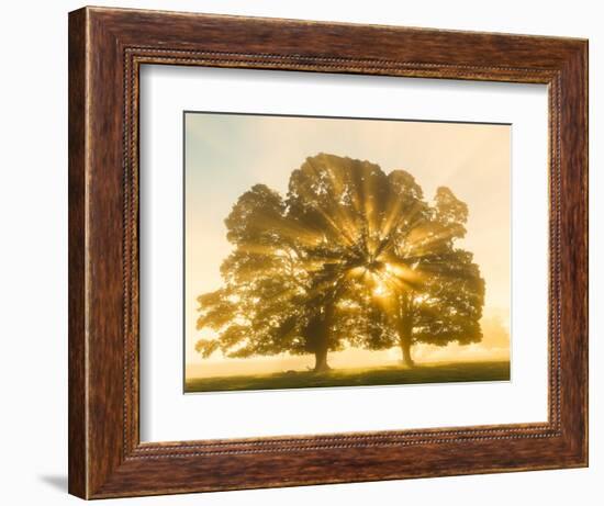 Sunrise, Usk Valley, South Wales, UK-Peter Adams-Framed Photographic Print