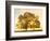 Sunrise, Usk Valley, South Wales, UK-Peter Adams-Framed Photographic Print