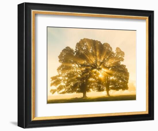 Sunrise, Usk Valley, South Wales, UK-Peter Adams-Framed Photographic Print