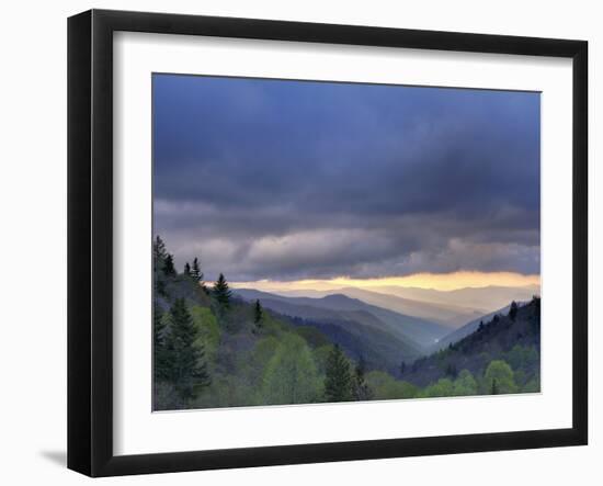 Sunrise View of Oconaluftee Valley, Great Smoky Mountains National Park, North Carolina, Usa-Adam Jones-Framed Photographic Print