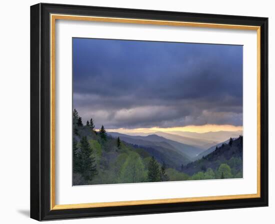 Sunrise View of Oconaluftee Valley, Great Smoky Mountains National Park, North Carolina, Usa-Adam Jones-Framed Photographic Print