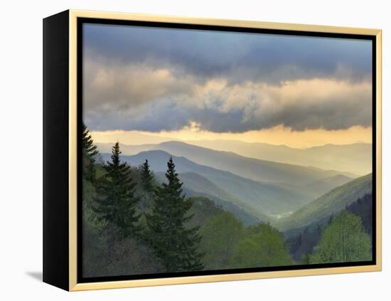 Sunrise View of Oconaluftee Valley, Great Smoky Mountains National Park, North Carolina, Usa-Adam Jones-Framed Premier Image Canvas