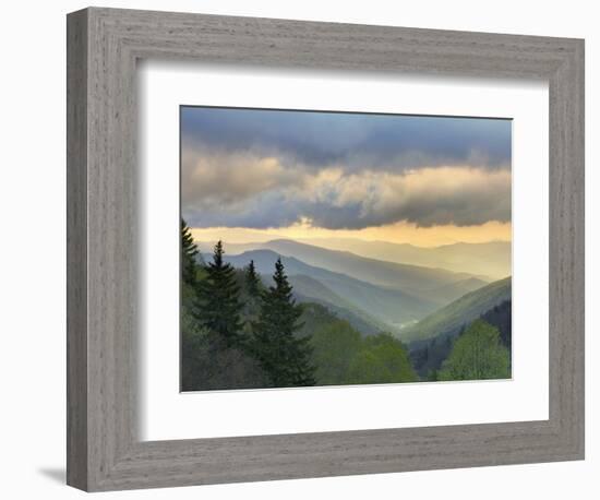 Sunrise View of Oconaluftee Valley, Great Smoky Mountains National Park, North Carolina, Usa-Adam Jones-Framed Photographic Print