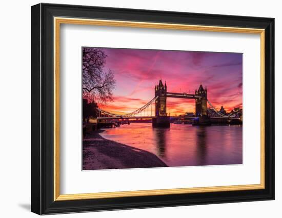 Sunrise view of Tower Bridge from Tower Wharf, Tower of London, London-Ed Hasler-Framed Photographic Print