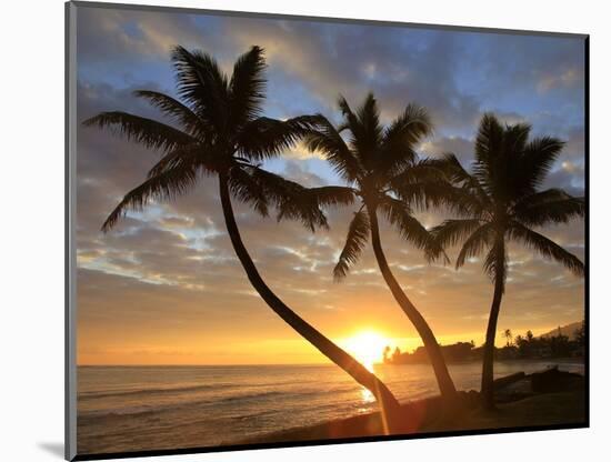 Sunrise, Windward Oahu, Hawaii-Douglas Peebles-Mounted Photographic Print