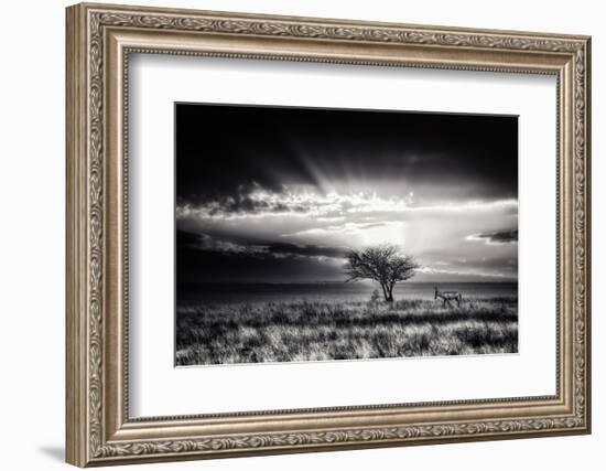 Sunrise With Hartebeest-Piet Flour-Framed Photographic Print