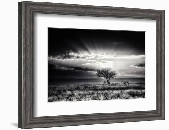 Sunrise With Hartebeest-Piet Flour-Framed Photographic Print