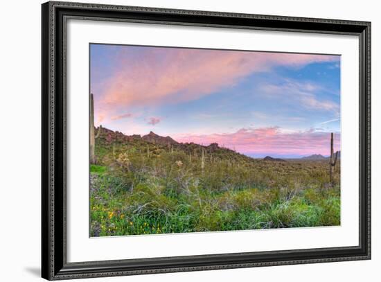 Sunrise-Anton Foltin-Framed Photographic Print