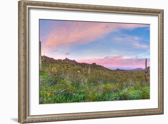 Sunrise-Anton Foltin-Framed Photographic Print