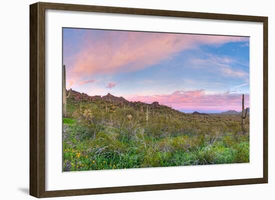 Sunrise-Anton Foltin-Framed Photographic Print