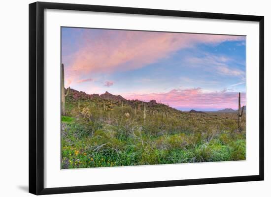 Sunrise-Anton Foltin-Framed Photographic Print