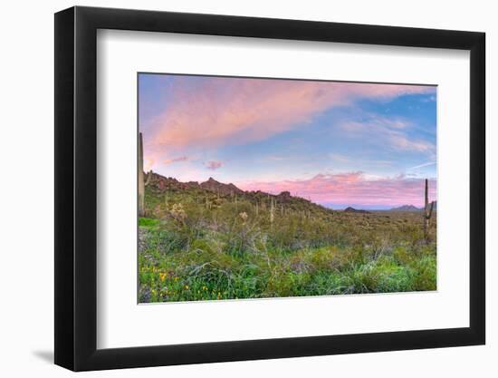 Sunrise-Anton Foltin-Framed Photographic Print