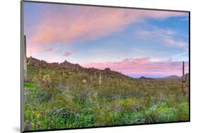 Sunrise-Anton Foltin-Mounted Photographic Print