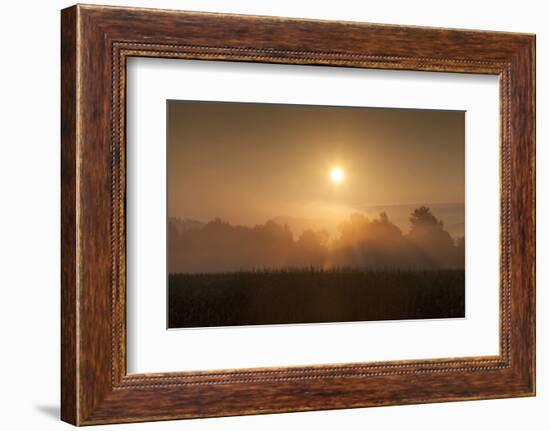 Sunrise-Simone Wunderlich-Framed Photographic Print