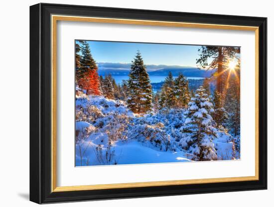 Sunrises Over Lake Tahoe CA-null-Framed Art Print