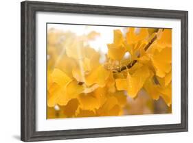 Suns Have Gone-Philippe Sainte-Laudy-Framed Photographic Print