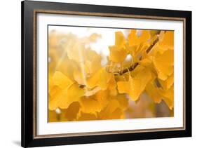 Suns Have Gone-Philippe Sainte-Laudy-Framed Photographic Print