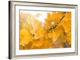 Suns Have Gone-Philippe Sainte-Laudy-Framed Photographic Print