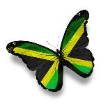 Jamaican Flag Butterfly, Isolated On White-suns_luck-Art Print